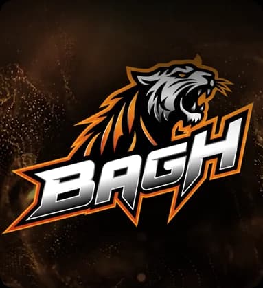 Bagh22
